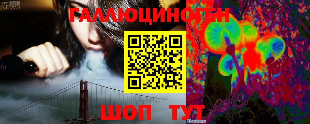 Галлюциногенные грибы GOLDEN TEACHER  Галлюциногенные грибы Magic Shrooms  Вход с VPN  как найти закладки  Киселёвск 